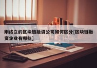 刚成立的区块链融资公司如何区分[区块链融资企业有哪些]